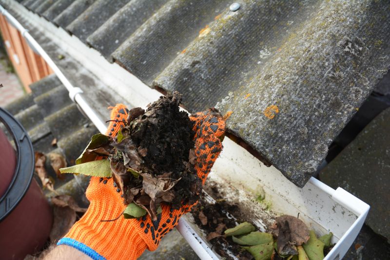 Gutter Service Image 3