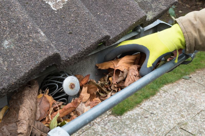 Gutter Service Image 6